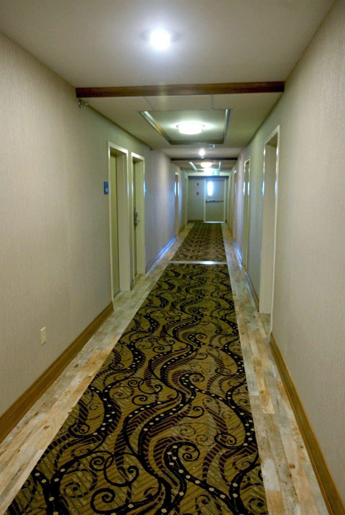 Holiday Inn Express Hotel & Suites Uptown Fredericton By Ihg Extérieur photo